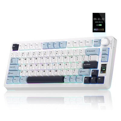 【値下げ中★国内希少】AULA S75 Pro メカニカルキーボード US配列 Aula S75 Pro Mekanik RGB TKL Seiya Switch Kablosuz Makrolu Hot