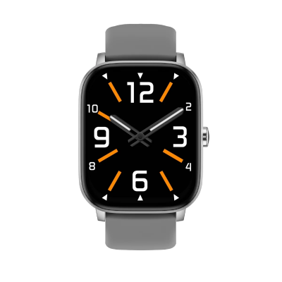 Bix SW03 2.01 inç TFT Geniş Ekran Bluetooth Telefon Görüşme IP67 Suya Dayanıklı Spor ve Sağlık Takip Özellikli iOS Android Uyumlu Akıllı Saat Gri - 2