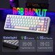 Aula F65 Nimbus V3 Switch Mekanik RGB TKL Makrolu Hot Swap Kablosuz Klavye Pastel