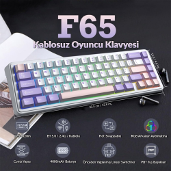 Aula F65 Nimbus V3 Switch Mekanik RGB TKL Makrolu Hot Swap Kablosuz Klavye Pastel