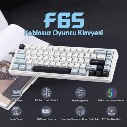Aula F65 Reaper Switch Mekanik RGB TKL Makrolu Hot Swap Kablosuz Klavye Buz Mavisi