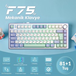 Aula F75 Mekanik RGB TKL Hot Swap GrayWood V4 Switch Kablosuz Makrolu Türkçe Q Klavye Pastel