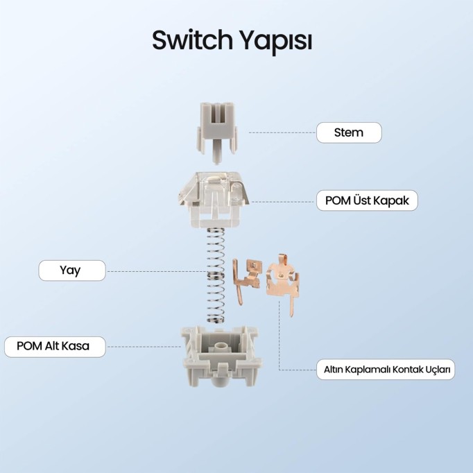 Aula Leobog GrayWood V3 Lineer Mekanik Switch 100 Adet
