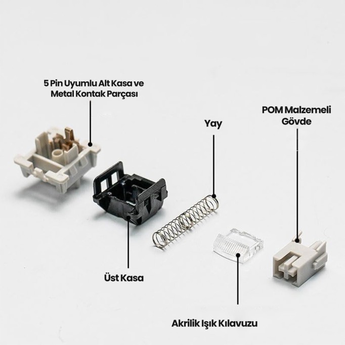 Aula Leobog GrayWood V4 Lineer Mekanik Switch 100 Adet