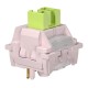 Aula Leobog Huatian Lineer Mekanik Switch 100 Adet