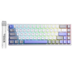 Mavi Aula Win68 He Max Manyetik Klavye Rapid Trigger Wing Chun Switch 8000Hz RGB TKL Hot Swap Oyuncu Klavyesi Mavi