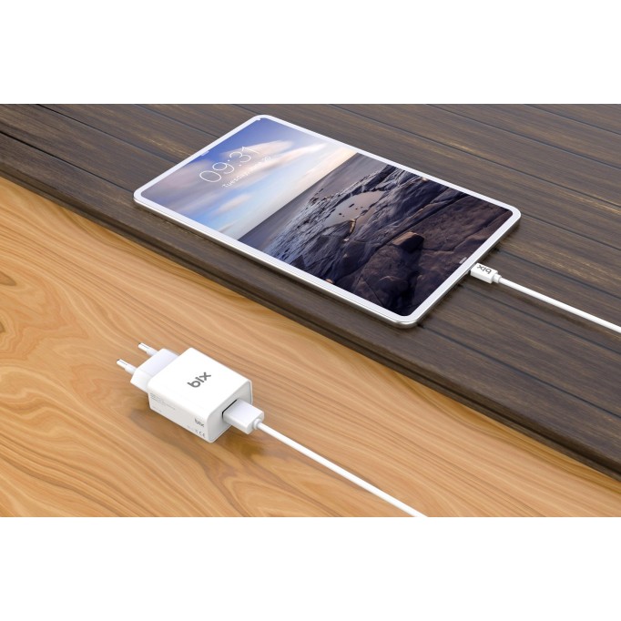 Bix BX-M10TA 10W Şarj Adaptörü ve Micro USB Şarj Kablosu 1 Metre