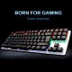 HP GK200 RGB Işıklı Mekanik Gaming Klavye