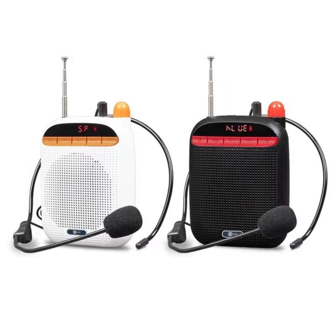 Lecoo MCS30 Ses Kaydetme Özellikli Bluetooth/USB/AUX/TF Kart Çift Mikrofonlu Taşınabilir Hoparlör Siyah