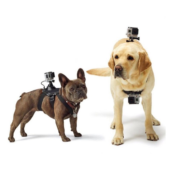 SJCAM Köpekler İçin Pet Fetch Aksiyon Kamera Bağlantı Aparatı
