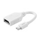 Ugreen Mini Display to Displayport Dönüştürücü Kablo