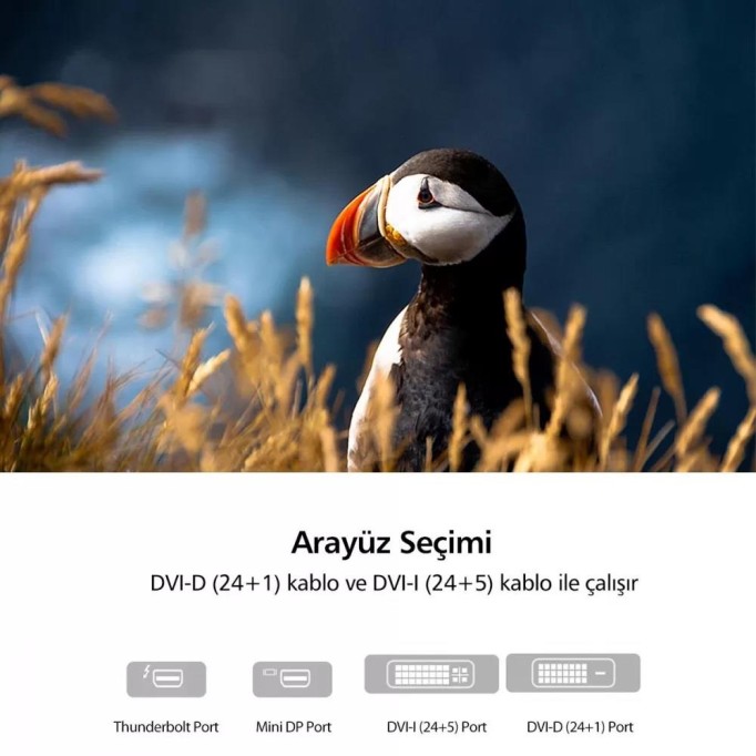 Ugreen Mini DisplayPort Erkek to DVI-I (24+5) Dişi Dönüştürücü Adaptör