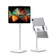 Ugreen Yükseklik ve Açı Ayarlı Masaüstü Telefon ve Tablet Tutucu Stand Gri