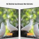 VegGieg 5Ghz Kablosuz HDMI VGA Görüntü Aktarım Cihazı