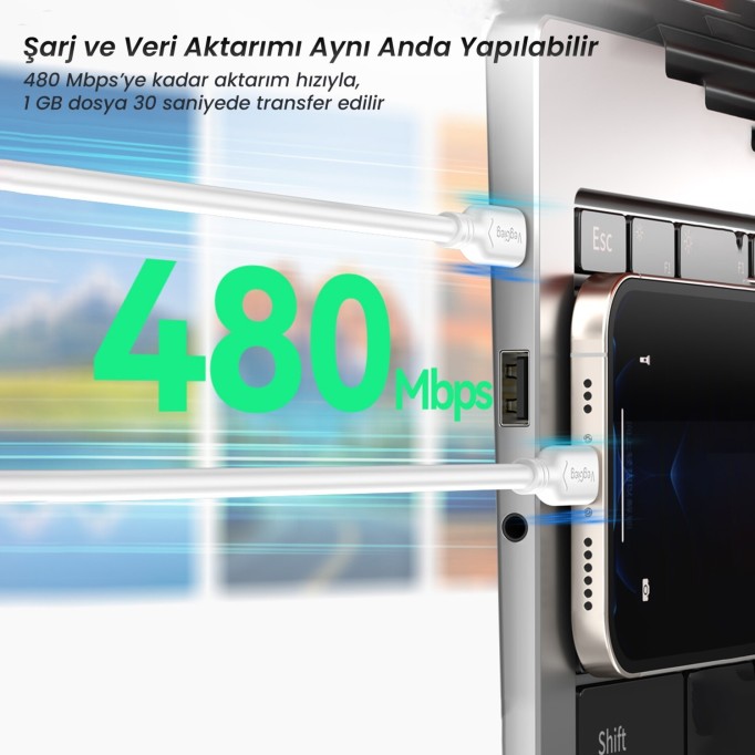 VegGieg 60W Type-C to Type-C Hızlı Şarj ve Data Kablosu 1.2 Metre