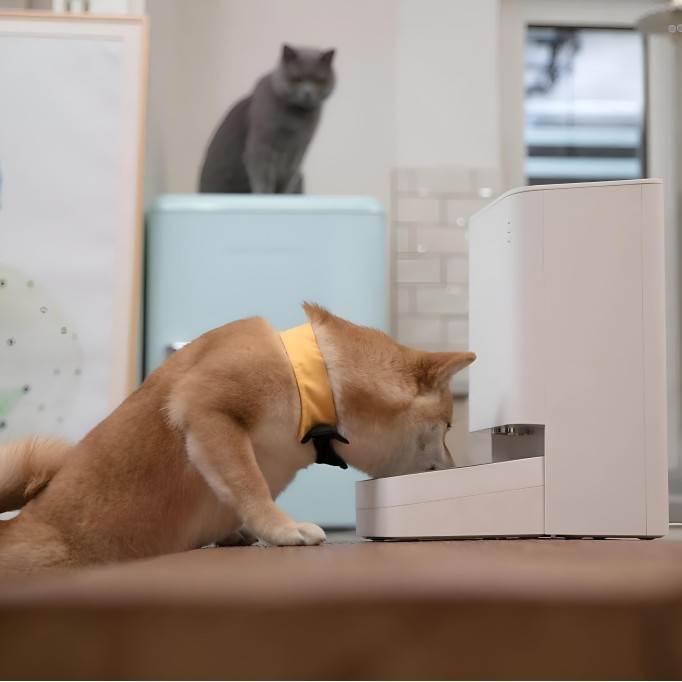 Xiaomi Mi Smart Food Feeder Akıllı Otomatik Mama Kabı