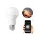 Xiaomi Philips Akıllı LED Ampul