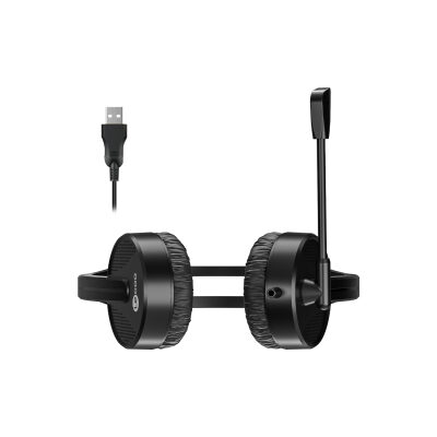 Lecoo HT106 USB Kablolu Mikrofonlu Kulak Üstü Kulaklık Siyah - 5