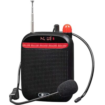 Lecoo MCS30 Ses Kaydetme Özellikli Bluetooth/USB/AUX/TF Kart Çift Mikrofonlu Taşınabilir Hoparlör Siyah