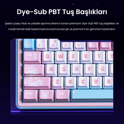 Leobog AMG65 Mekanik Gaming Oyuncu Klavyesi LED Matrix Ekranlı Jasper Switch RGB Hot Swap Pembe - 6