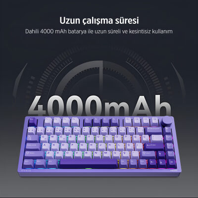 Philips Evnia SPK8618DTRH HotSwap Makrolu 3 Modlu Metal Gaming Oyuncu Klavyesi Gri - 7