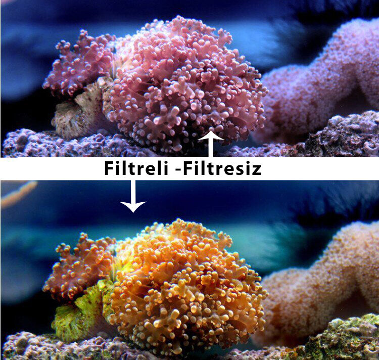 SJCAM SJ6 Aksiyon Kamerası için Su Altı Dalış Filtresi Kırmızı - 6